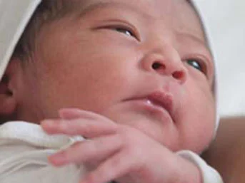 Baby Lotero