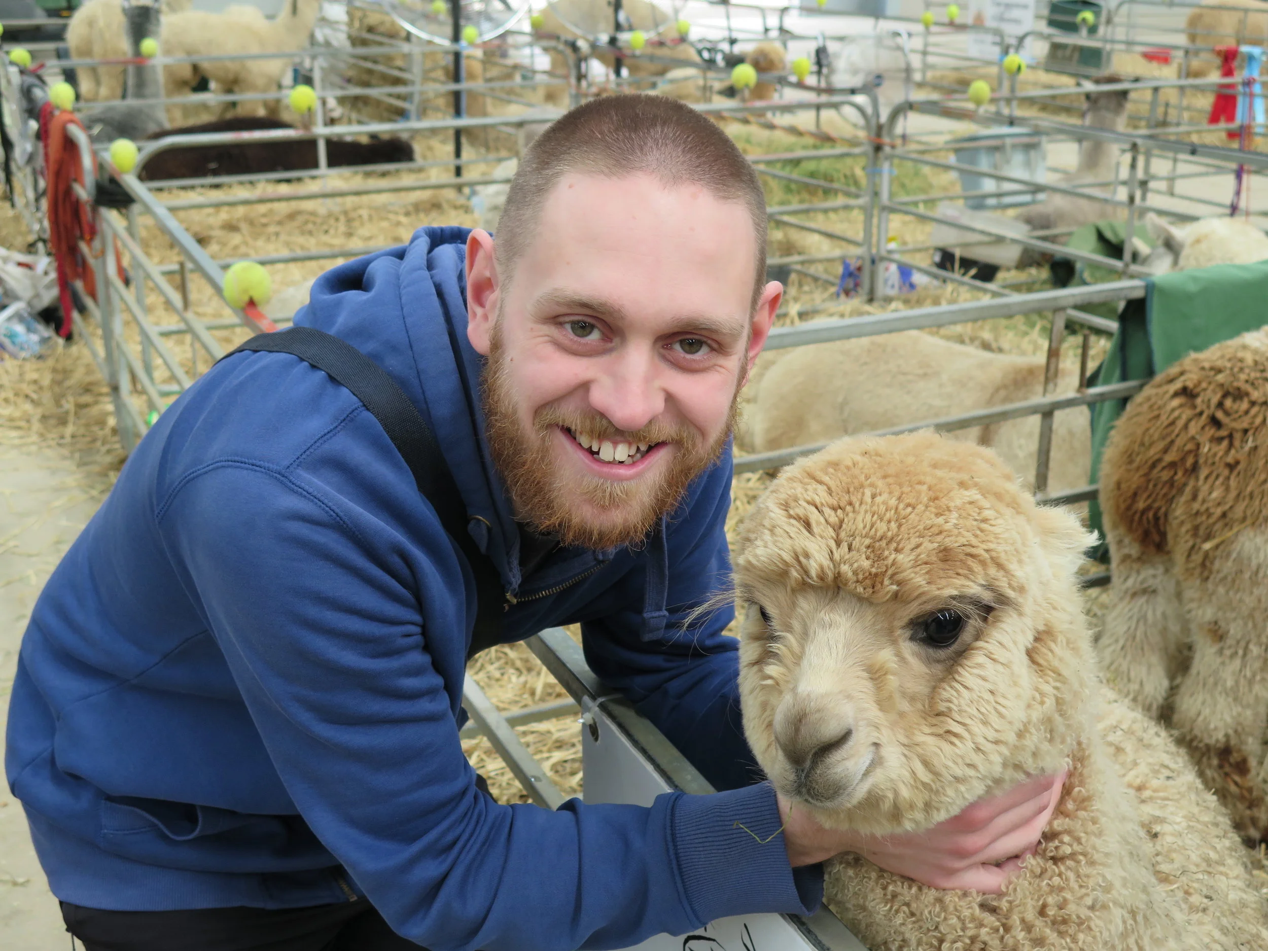 Samuel and Cream Alpaca.jpg