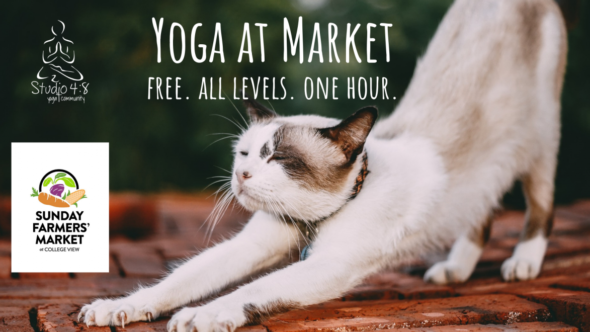 Yoga at Market cat.png