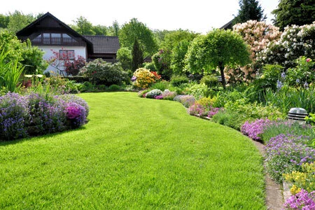 yard-service-vancouver-wa.jpg