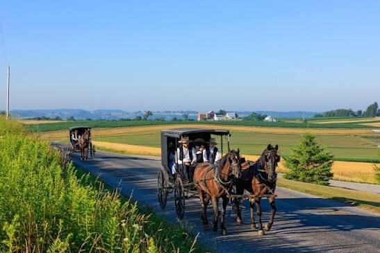 New York Vaccine Mandate May Drive Amish out of The State