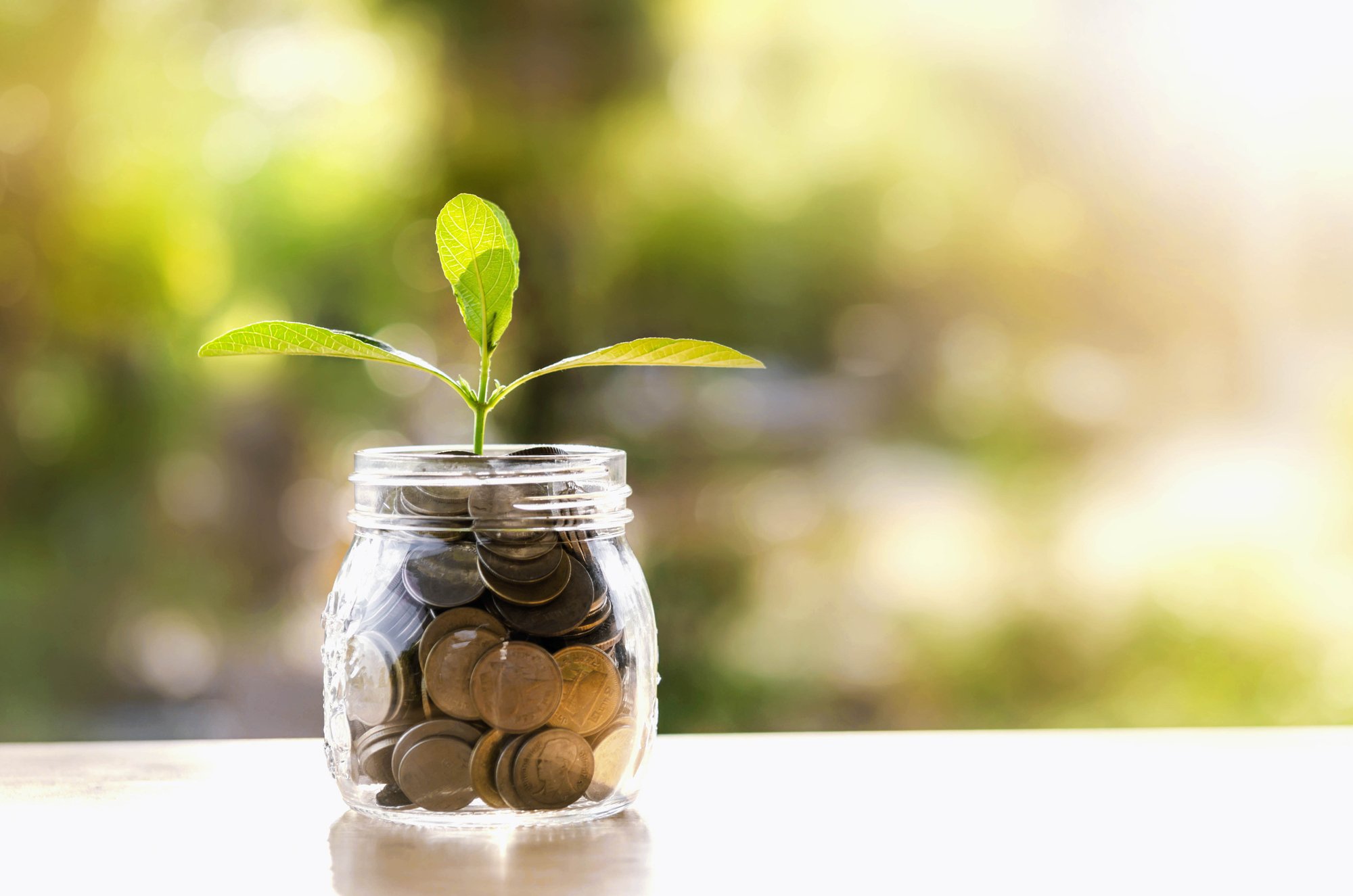 10 Principles of Wise Investing, By Steve Wohlberg