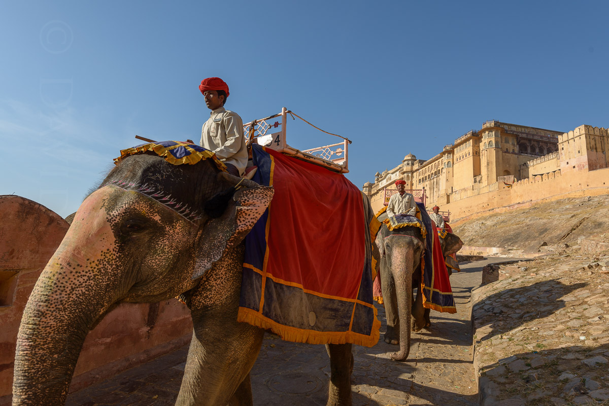 Amer Fort, Jaipur, India