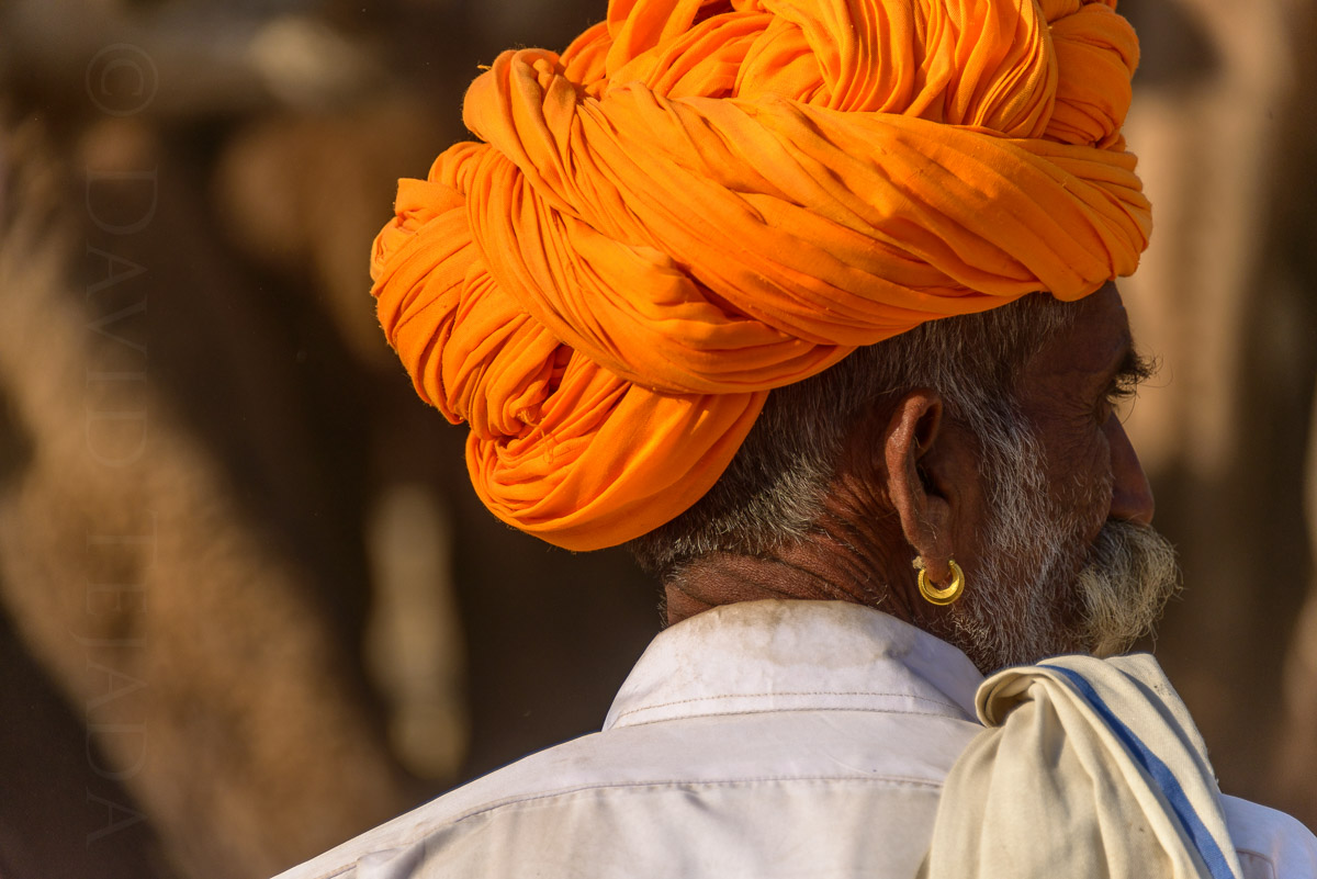 Pushkar Camel Fair