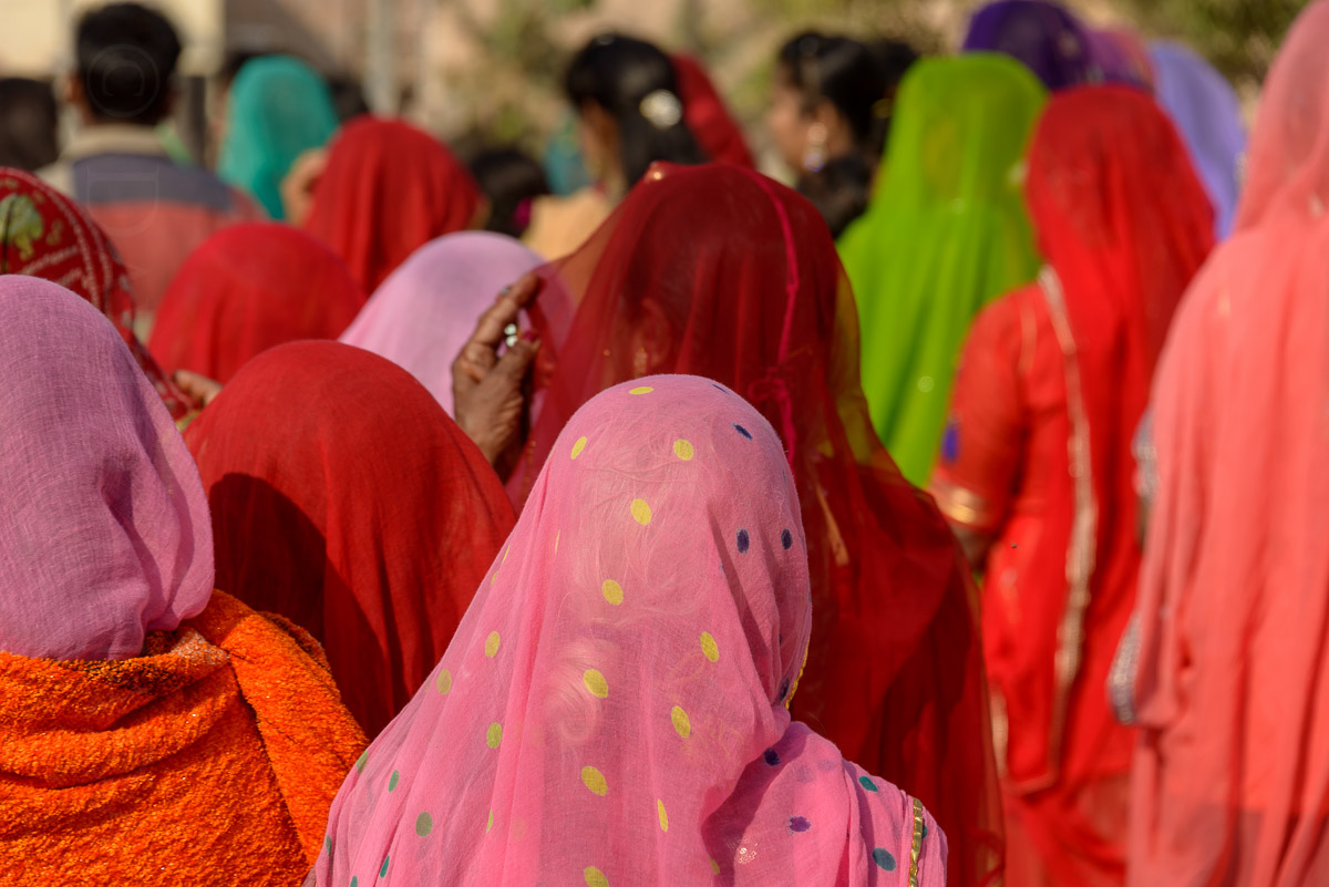 Wedding celebration, Jodhpur, India