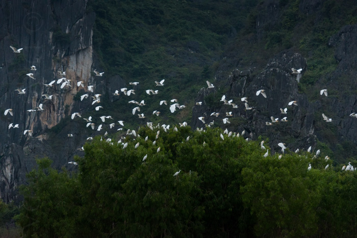 Ninh Binh, Vietnam