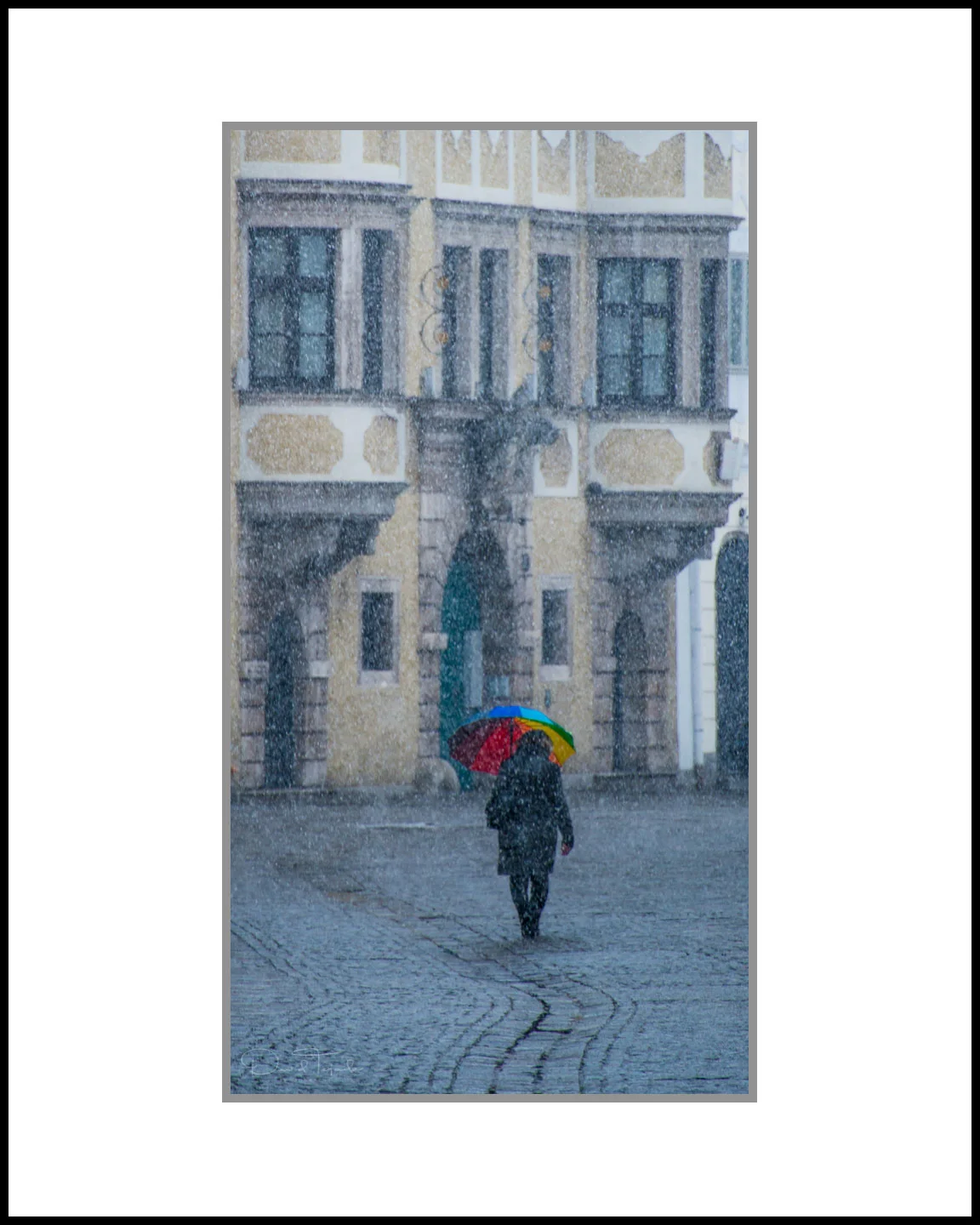 Linz-Snow-with-Umbrella.jpg