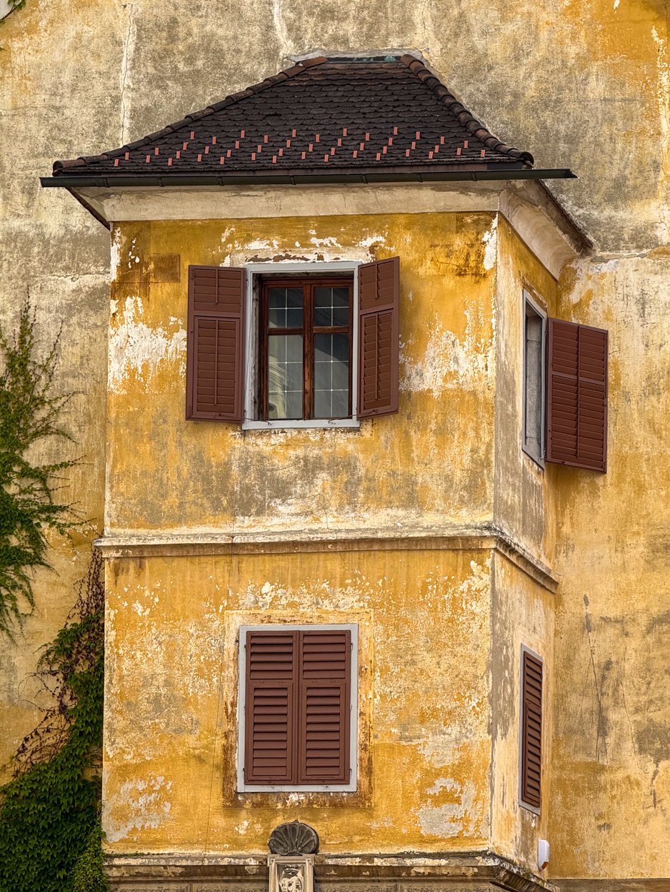 IMG_8426.jpg
