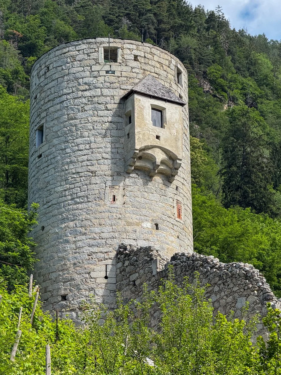 IMG_8445.jpg