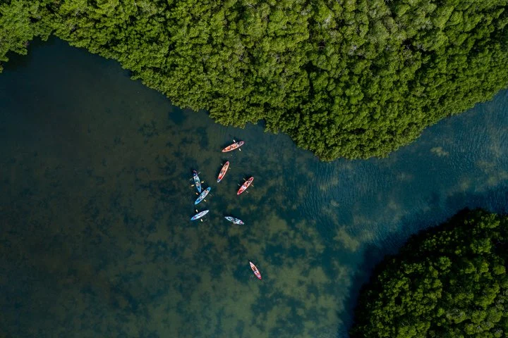 DJI_0273.jpg