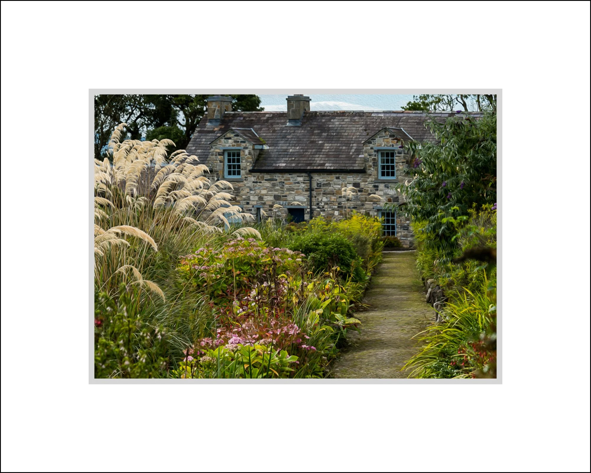 Lissadell House Garden.jpg