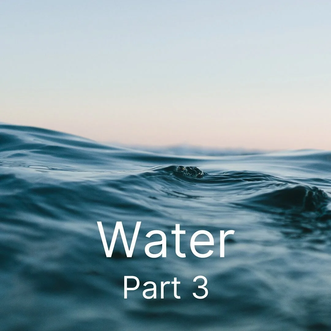 Bloom and Water (Preschool) — Nourish