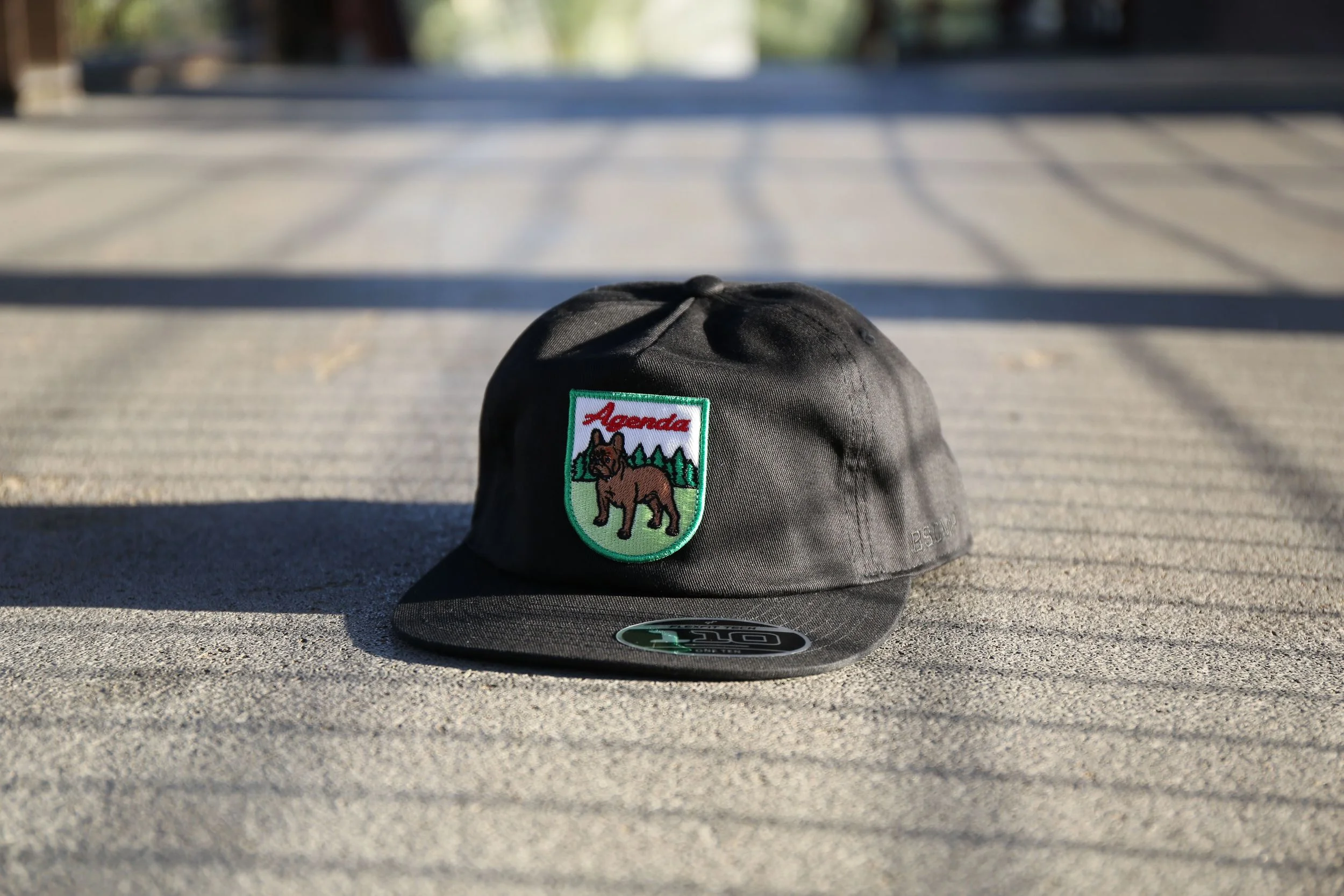 DOG LTD. X BSCMP
