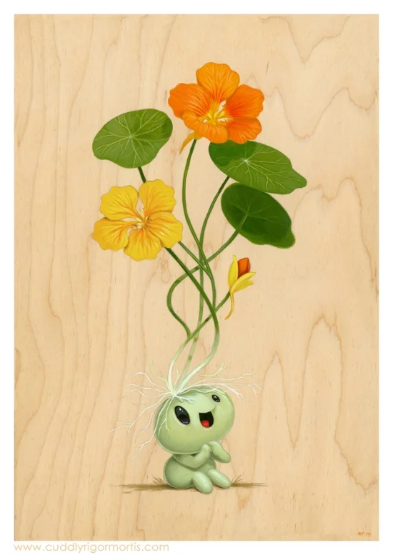 Natalie Nasturtium