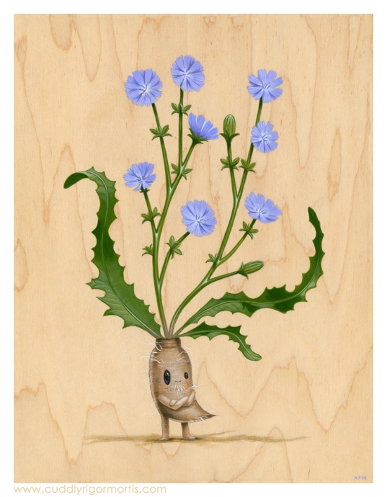 Dick Chicory