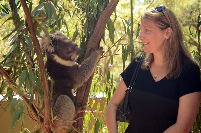  At Healesville Sanctuary Ed and I got to meet Bernie. I'm in love. 