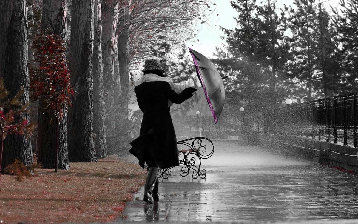 lady_umbrella.jpg