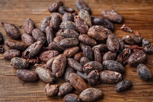kelly-aiello-nutritionist-cacao-beans.jpg