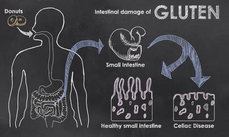 gluten_damamge.jpg