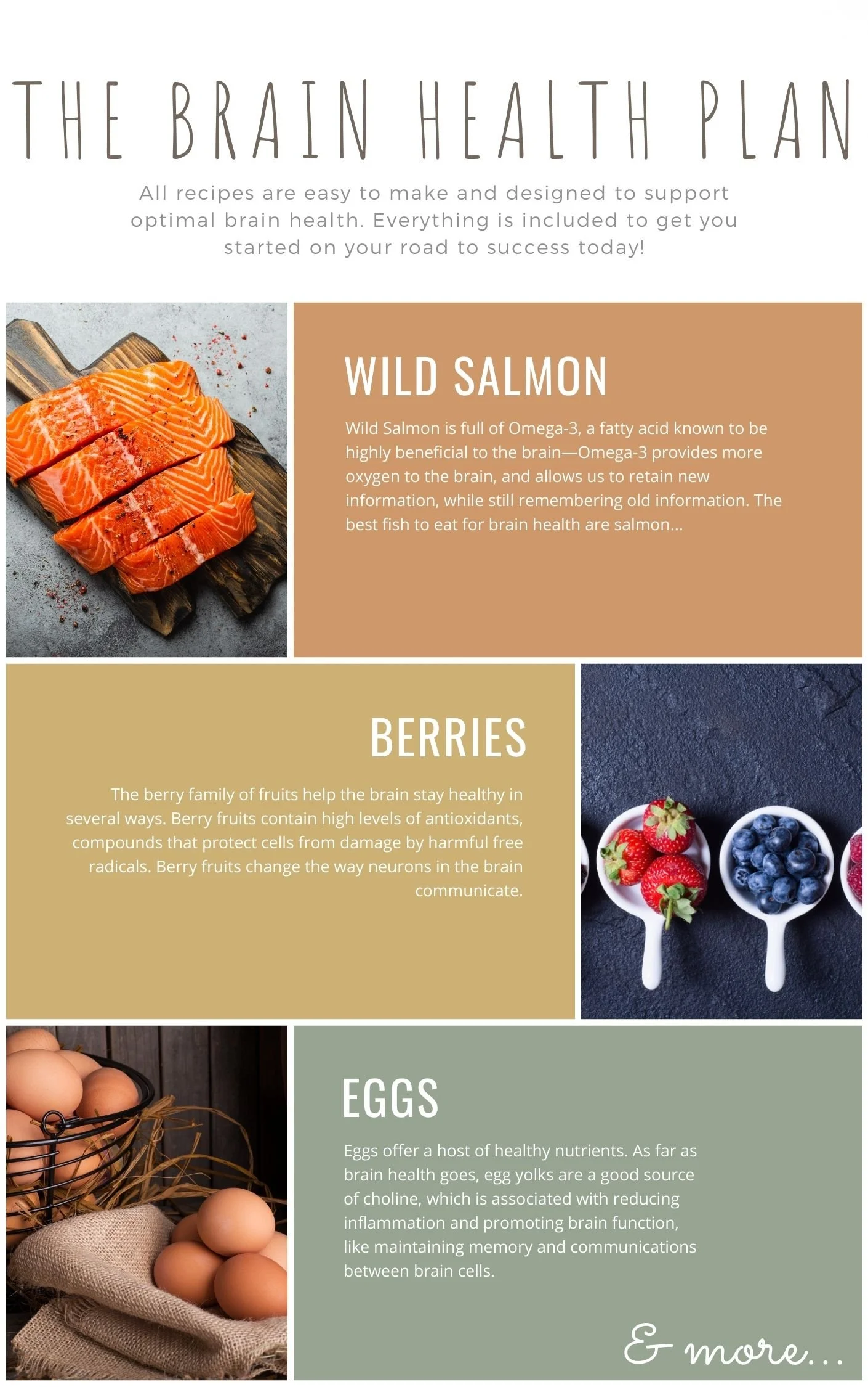 The Brain Health Plan