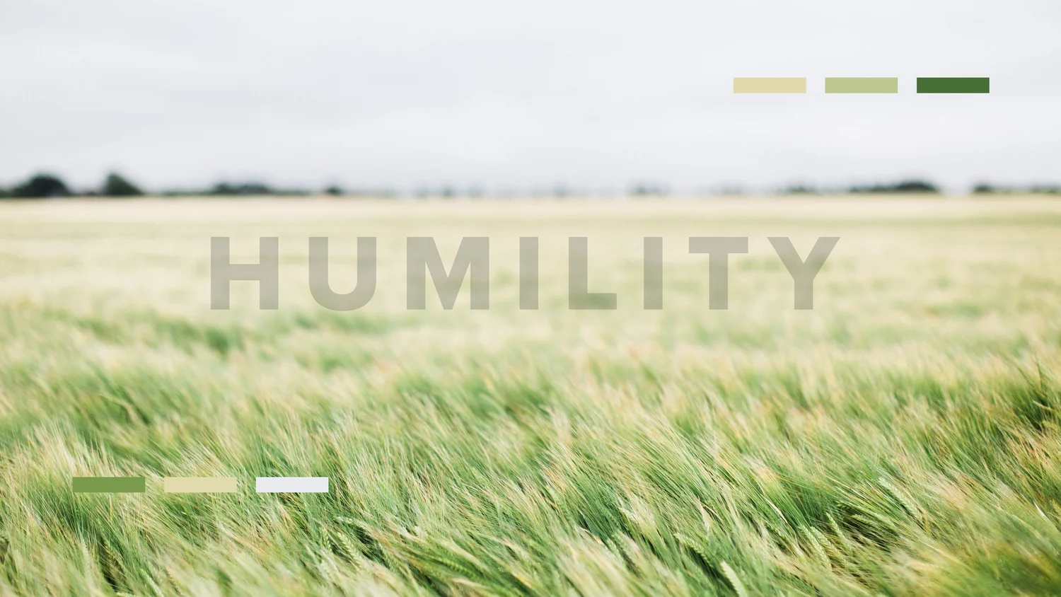The Reward of Humility episode artwork