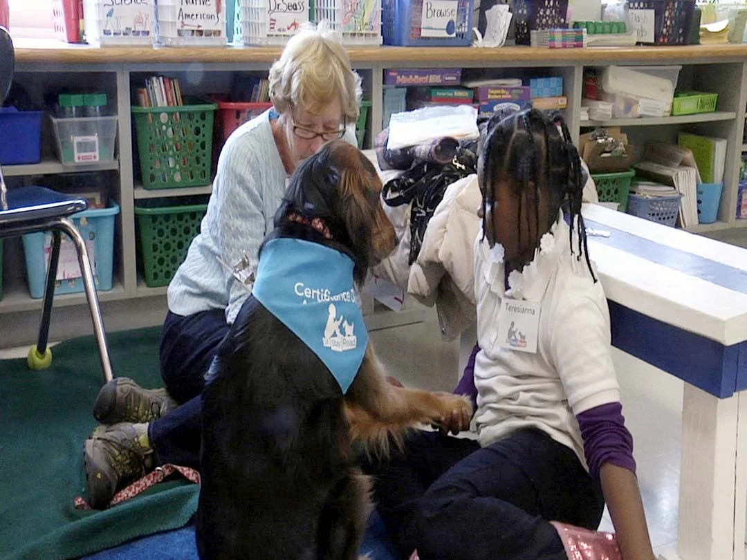 SitStayRead Featured Image.jpg