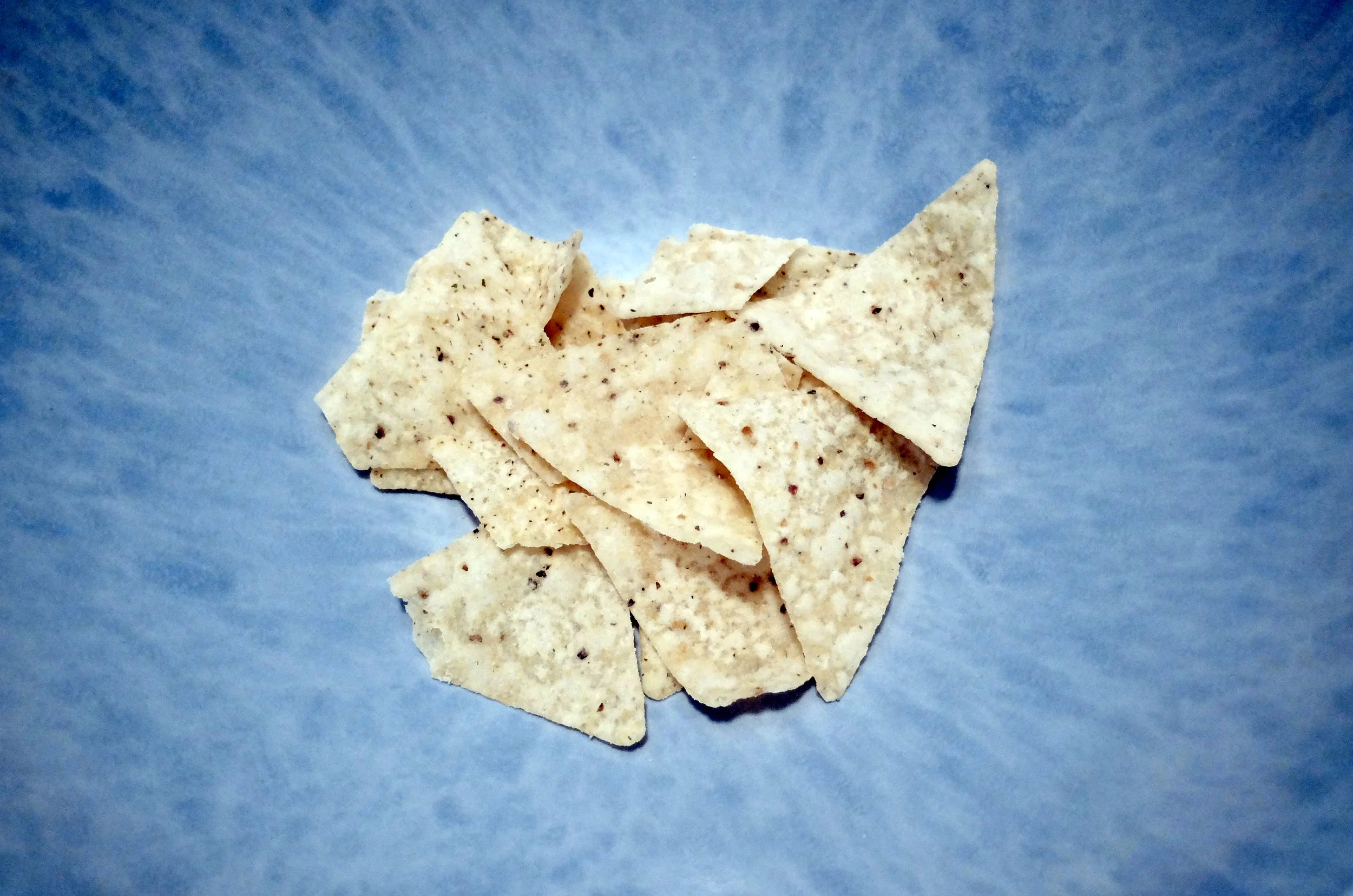 DSCF2666_ChipsofLife.jpg
