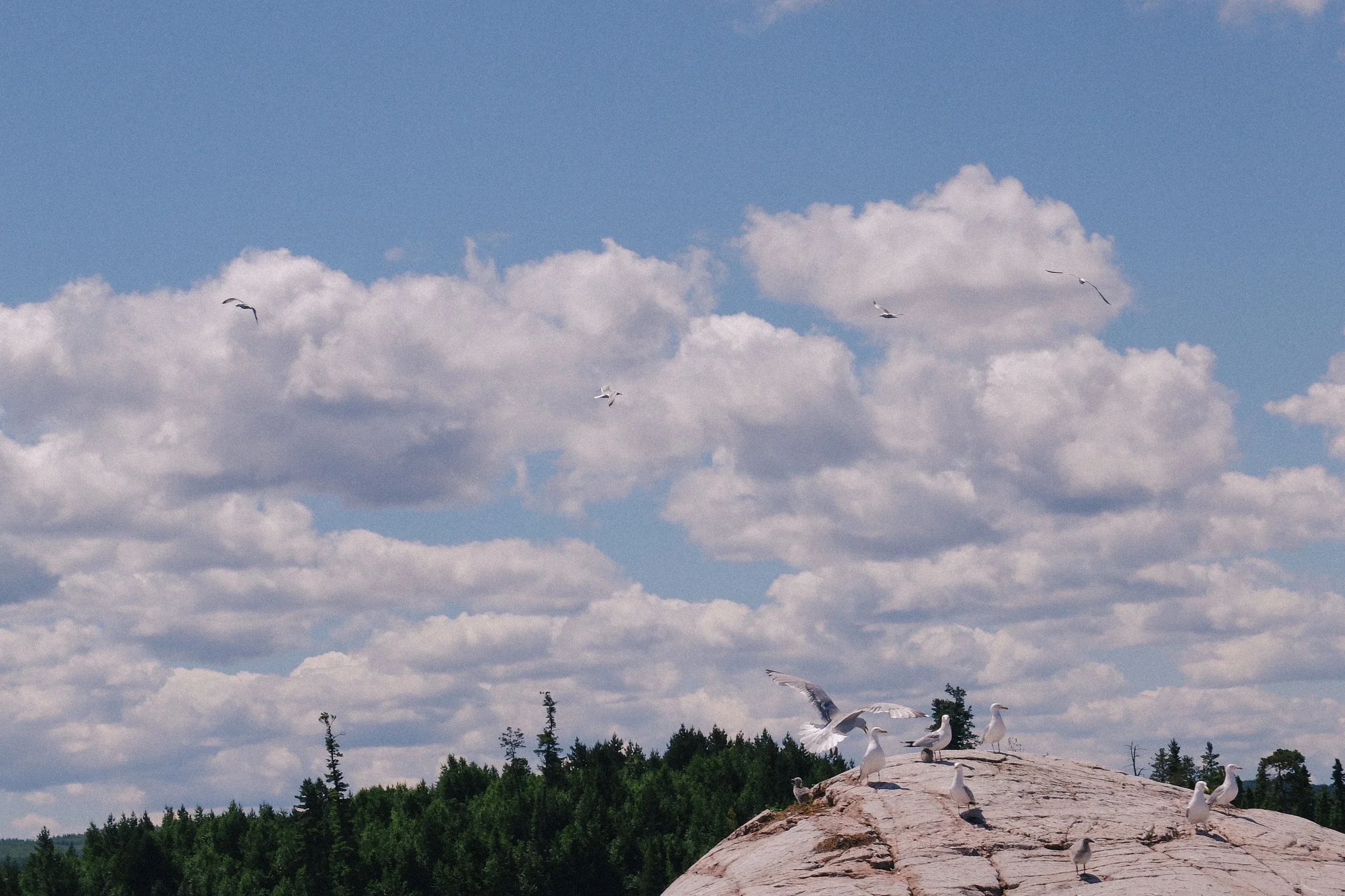 Boundary Waters 2017-4373.jpg