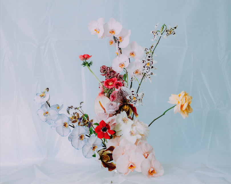 Vanessa Traina x Rodin