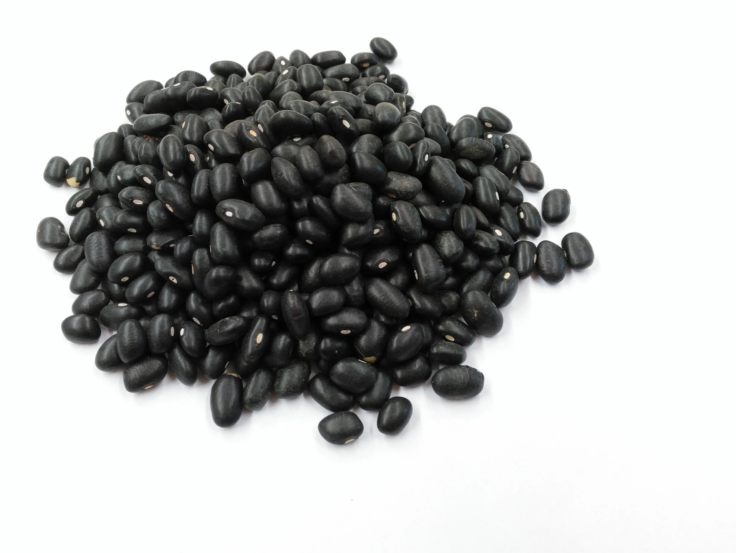Black Turtle Beans Speedrange Spices Health Supplements