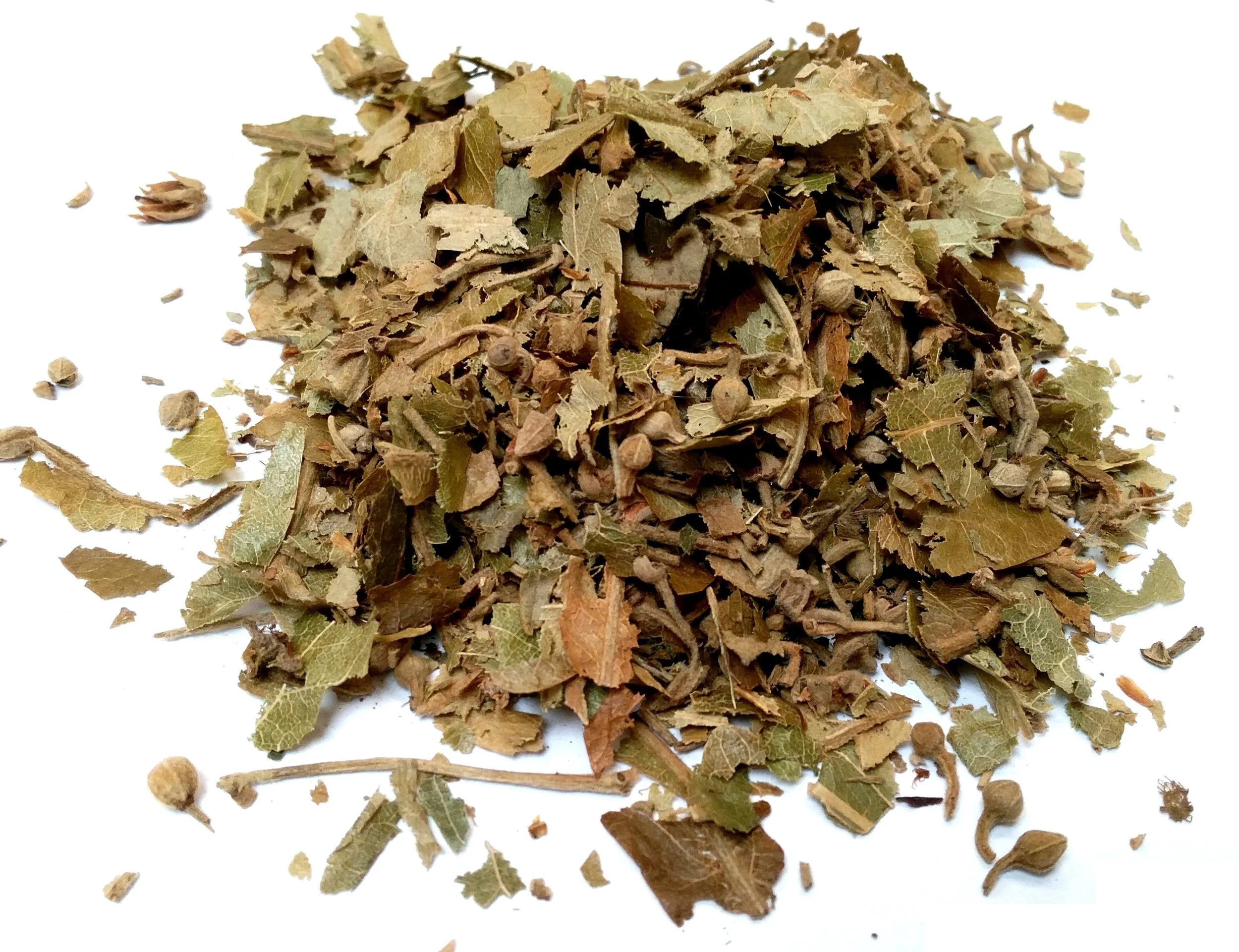 Linden Flowers.jpg