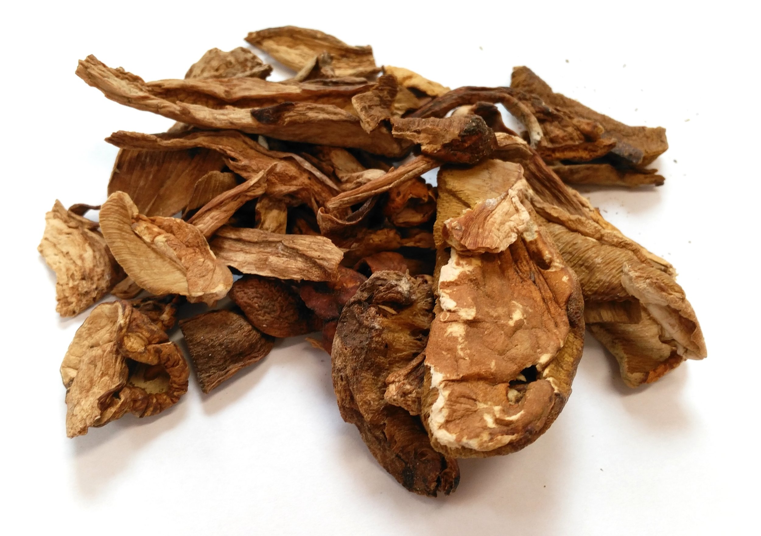 Porcini Slices.jpg