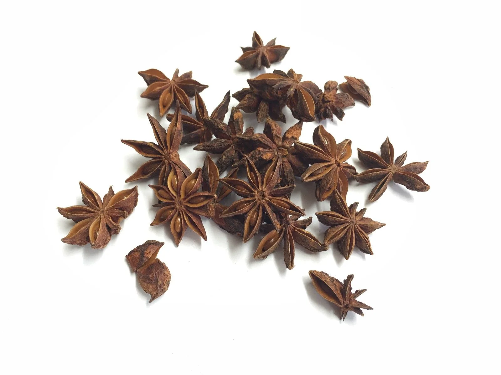 Star Anise.JPG