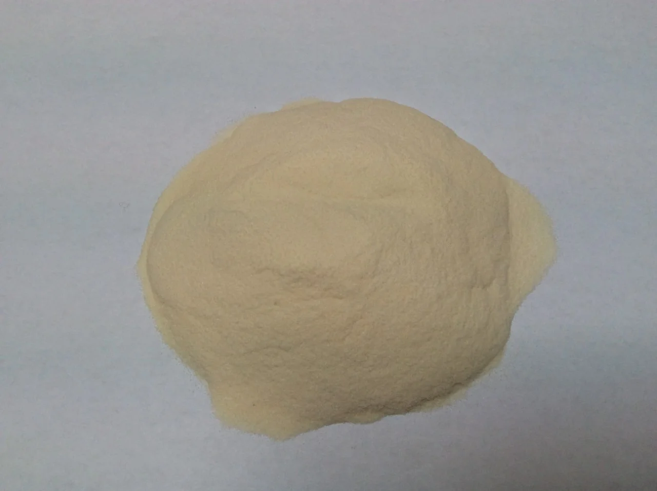 agar agar .jpg