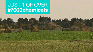 FDA_WhatsInIt_ArsenicPesticides_FINAL.gif