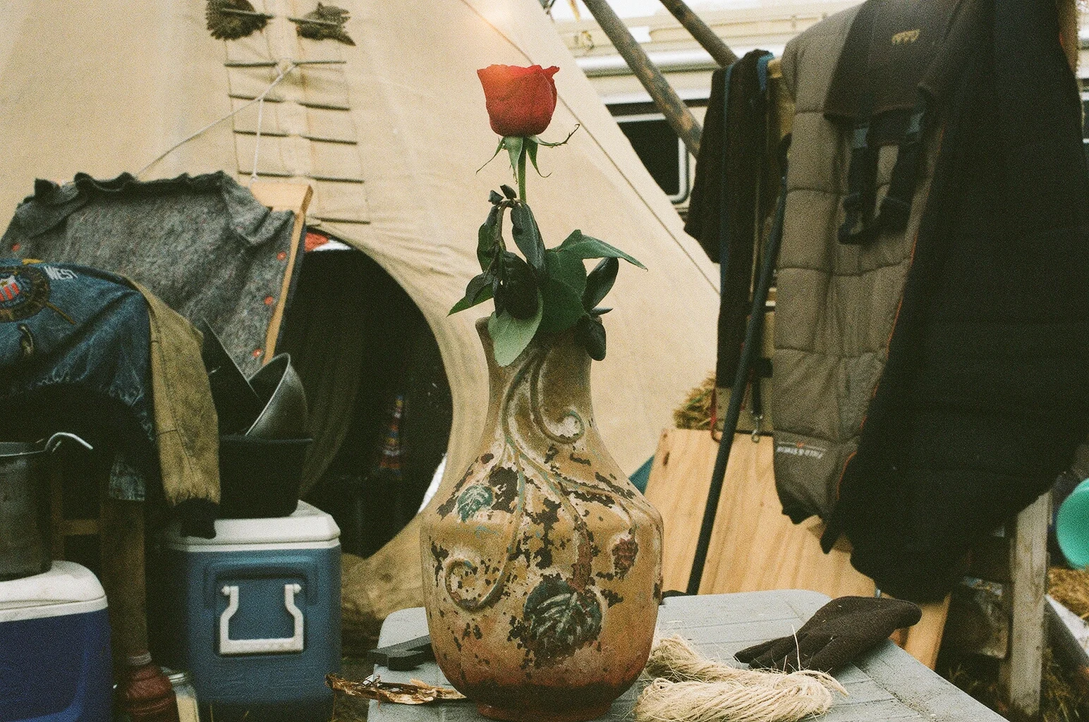 93820023.JPG