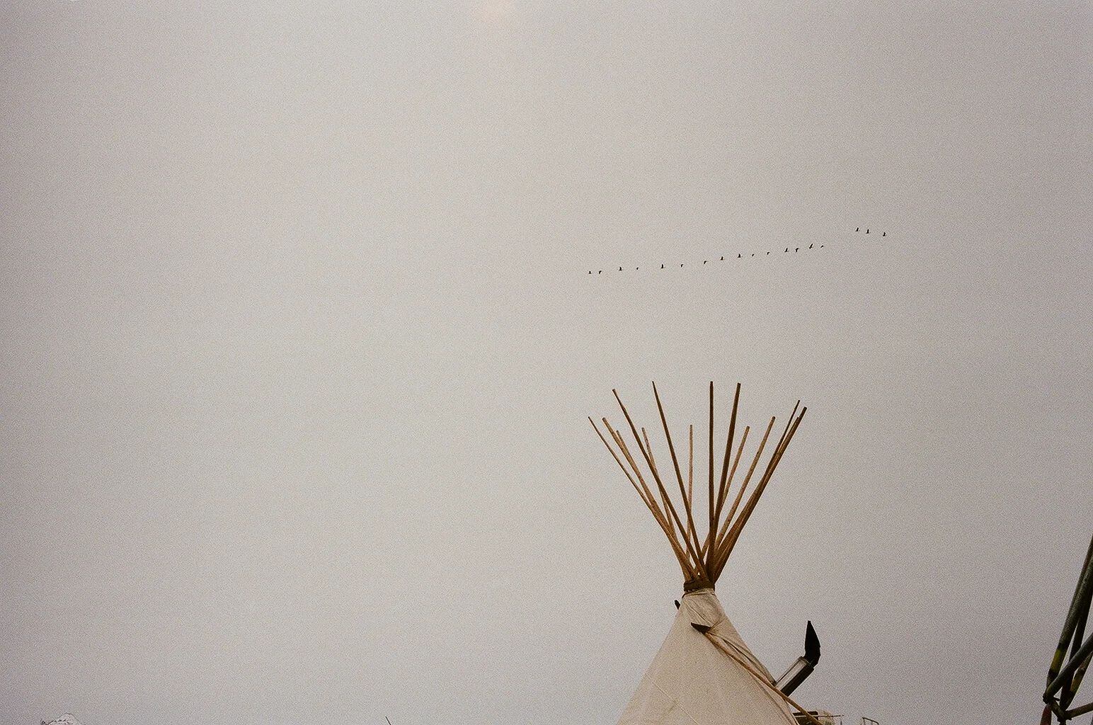 93820035.JPG