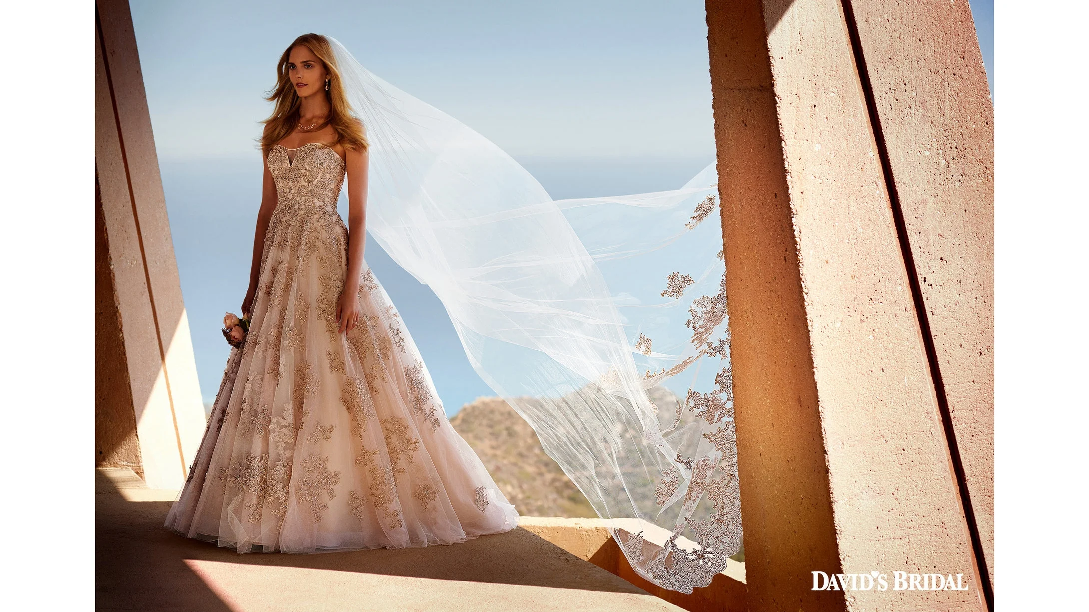 client: david's bridal