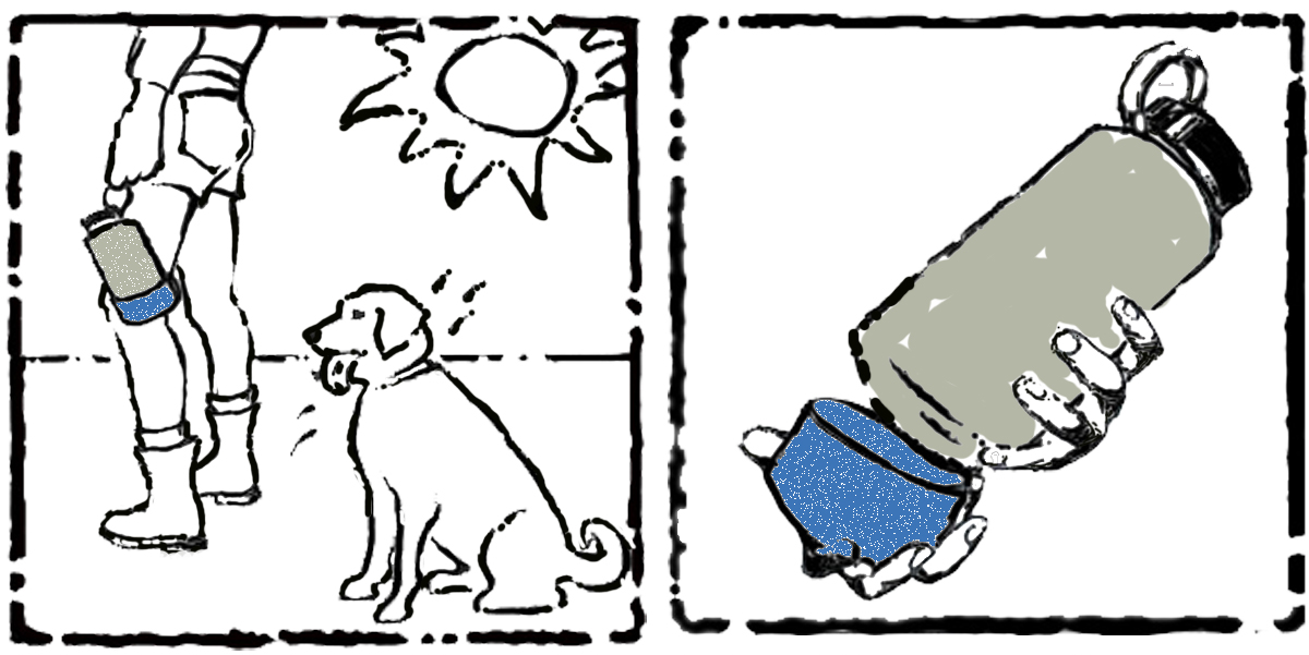 4-panel-BOLDcardboardColoredMergedClear copy.jpg