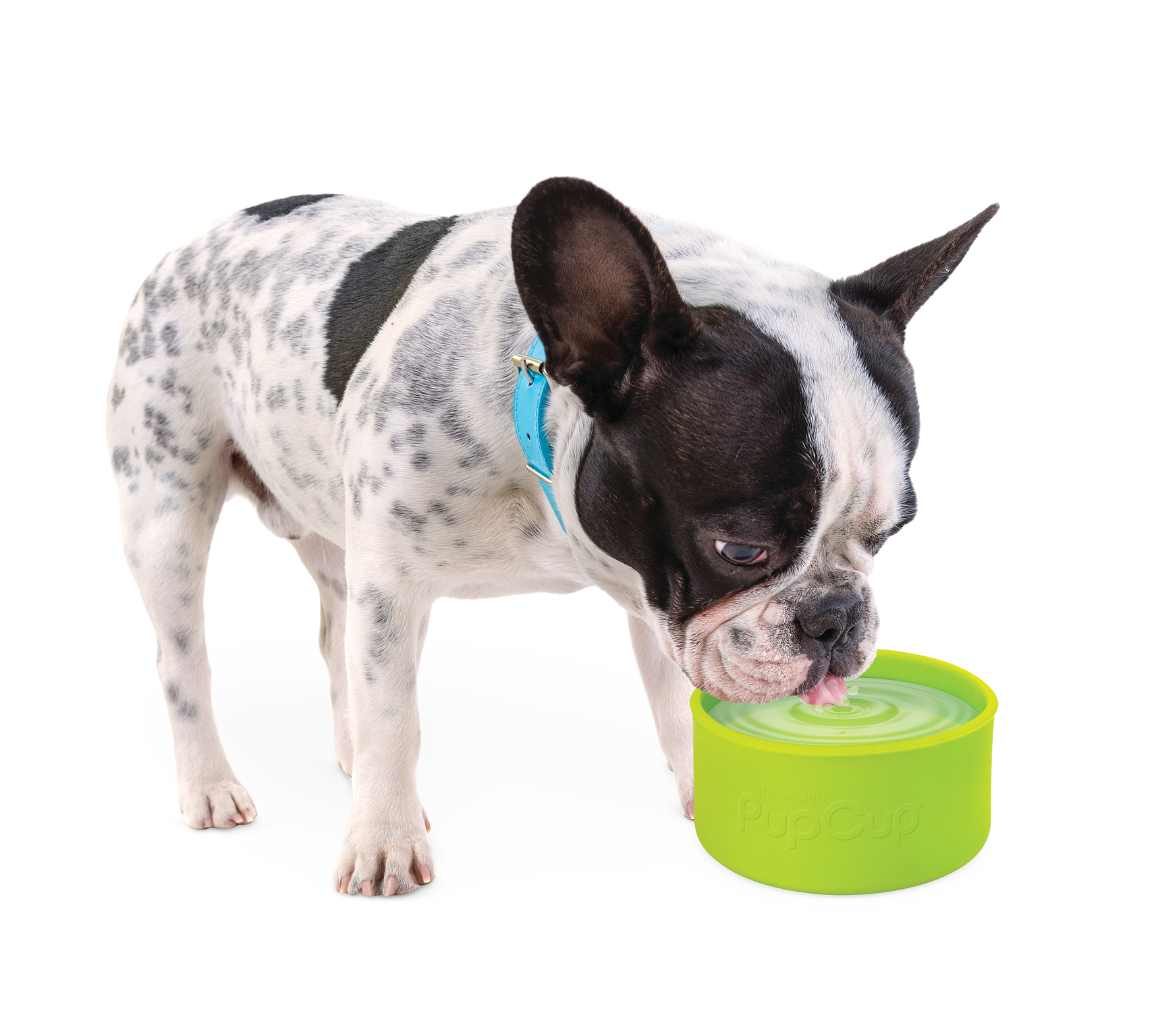The PupCup Dog Water Bottle and Water Bottle Protective Cup Sleeve fits Hydroflask boot, bottlebottle sleeve, and Nalgene water bottle cup.