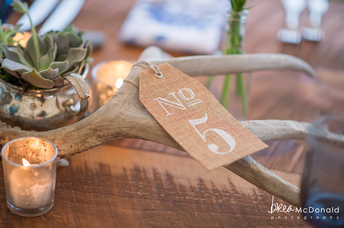 BreaMcDonaldPhotography0254.jpg