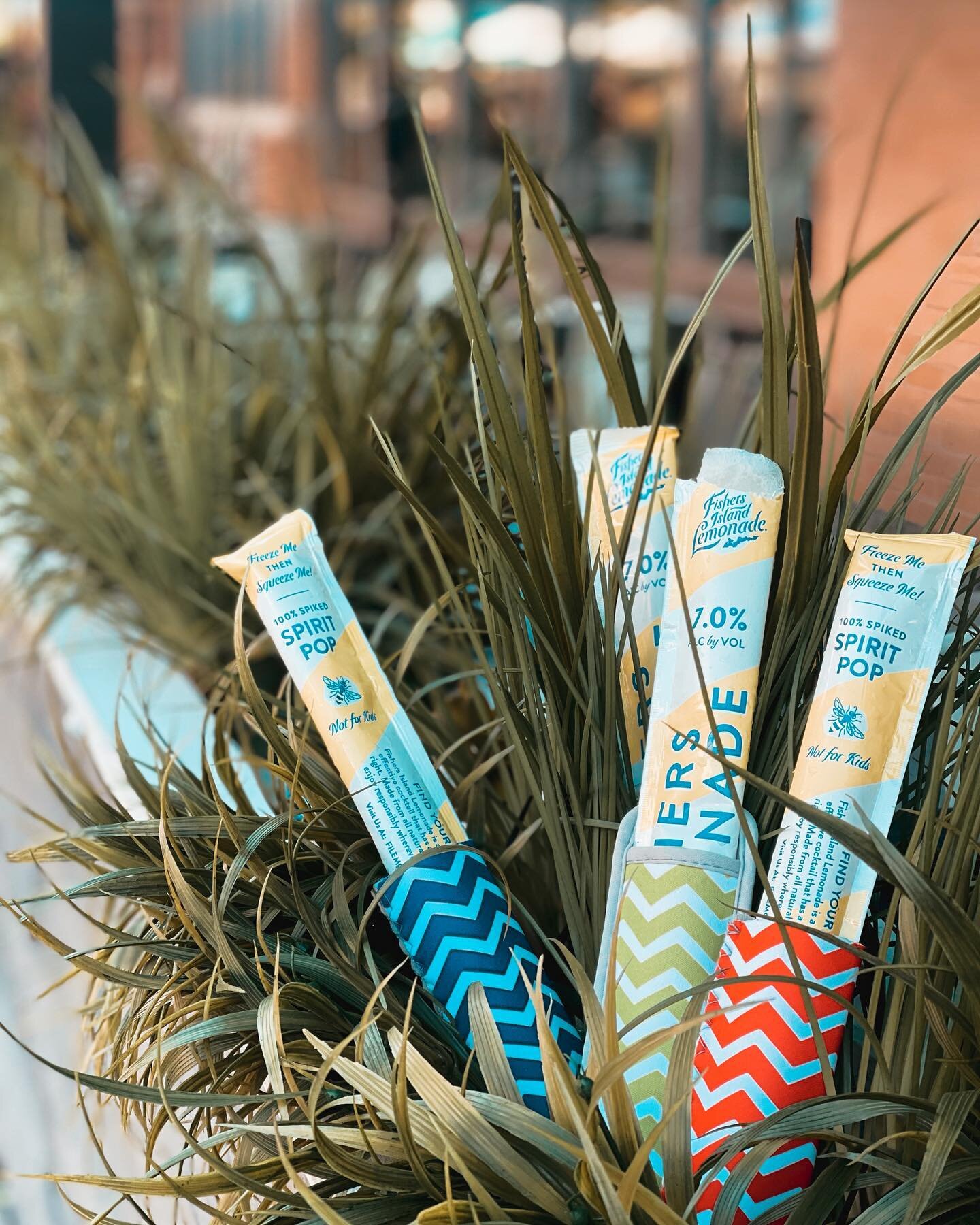 Happy 4th Everyone! 🇺🇸 what&rsquo;s more Fourth of July than celebrating with some boozy ice pops! @filemonade ice pops are here for the summer, come cool off! ☀️
