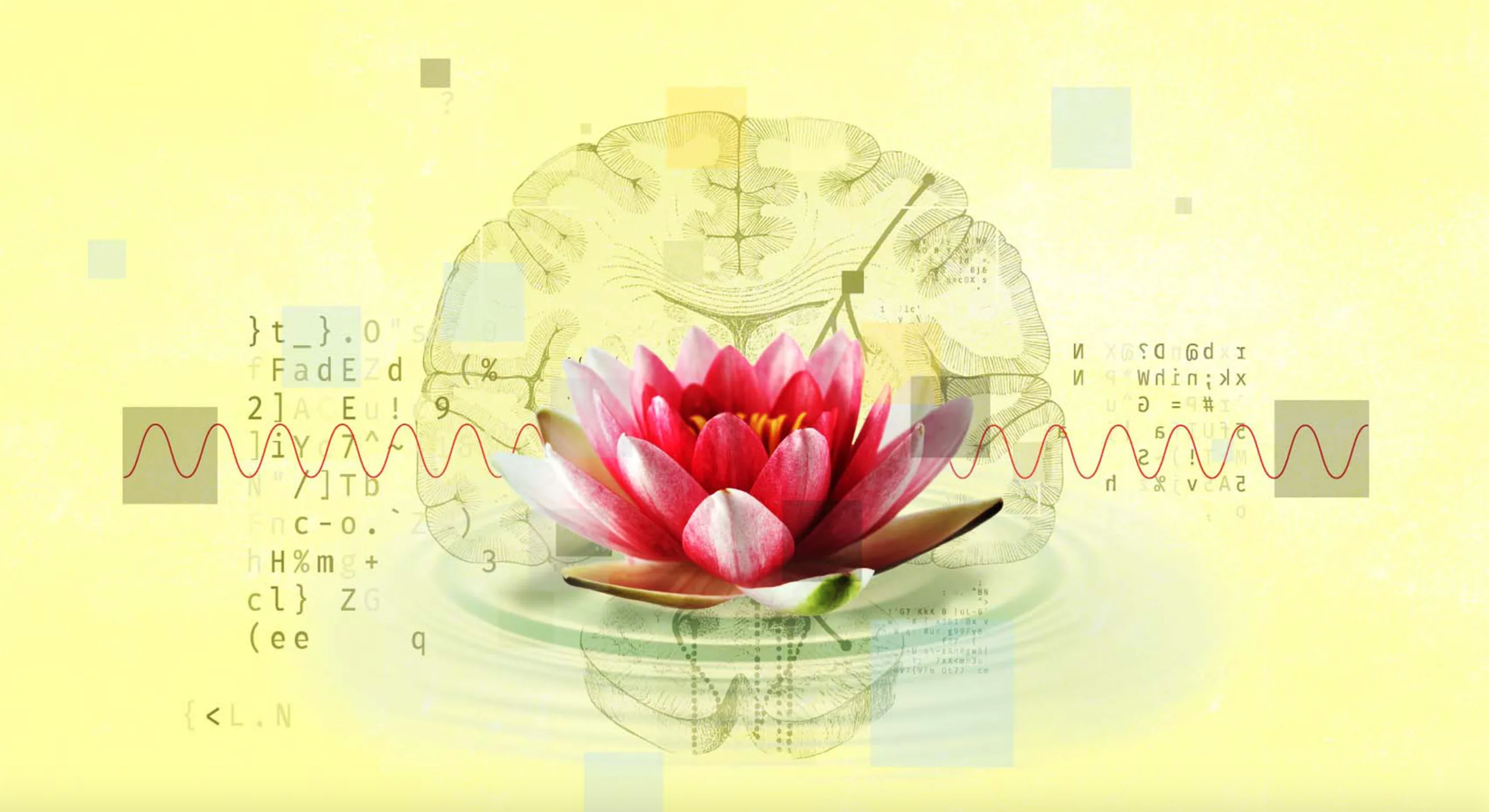 New Technologies Are Promising a Shortcut To Enlightenment