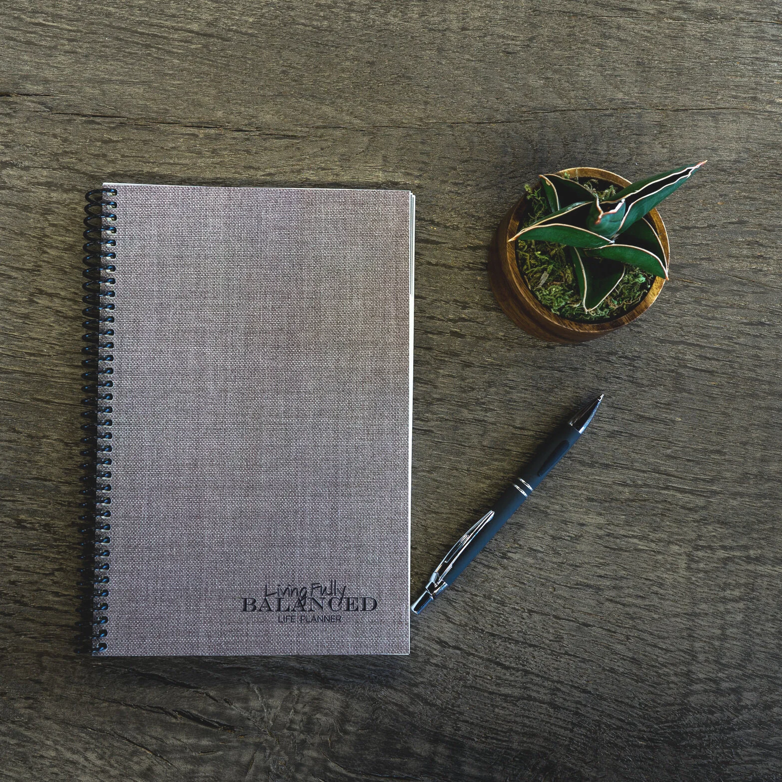The Living Fully Balanced Life Planner