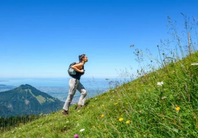 Could you be climbing the wrong mountain?