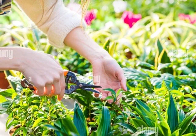 Resist the urge. Purge instead. 