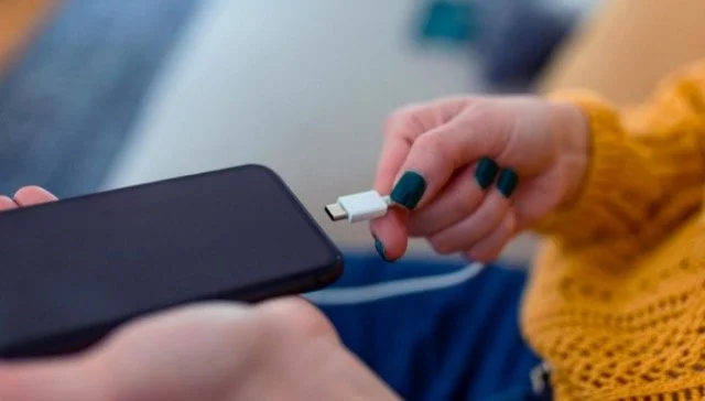 Your Self vs. Your Cell