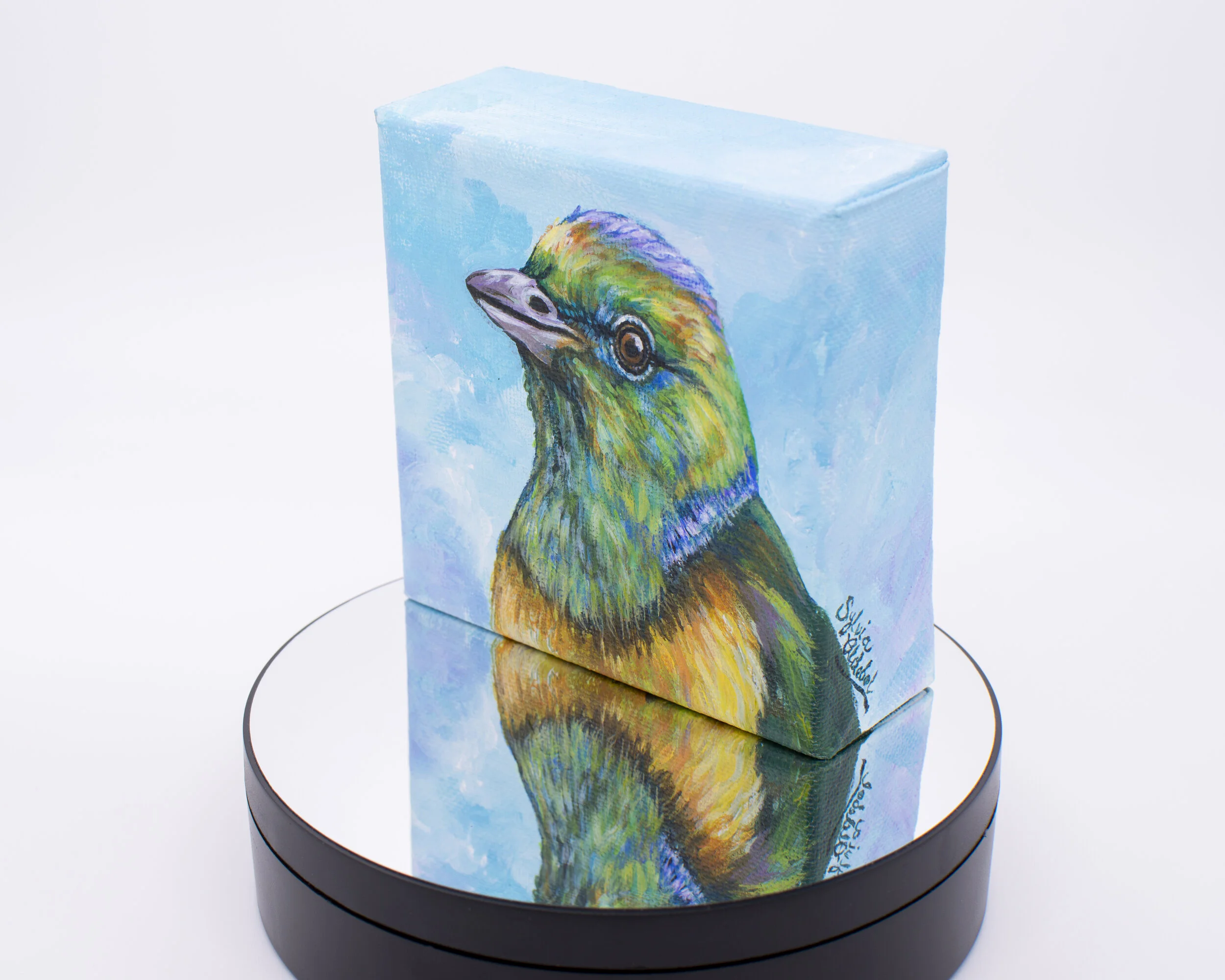 “Blue-naped Bird"
