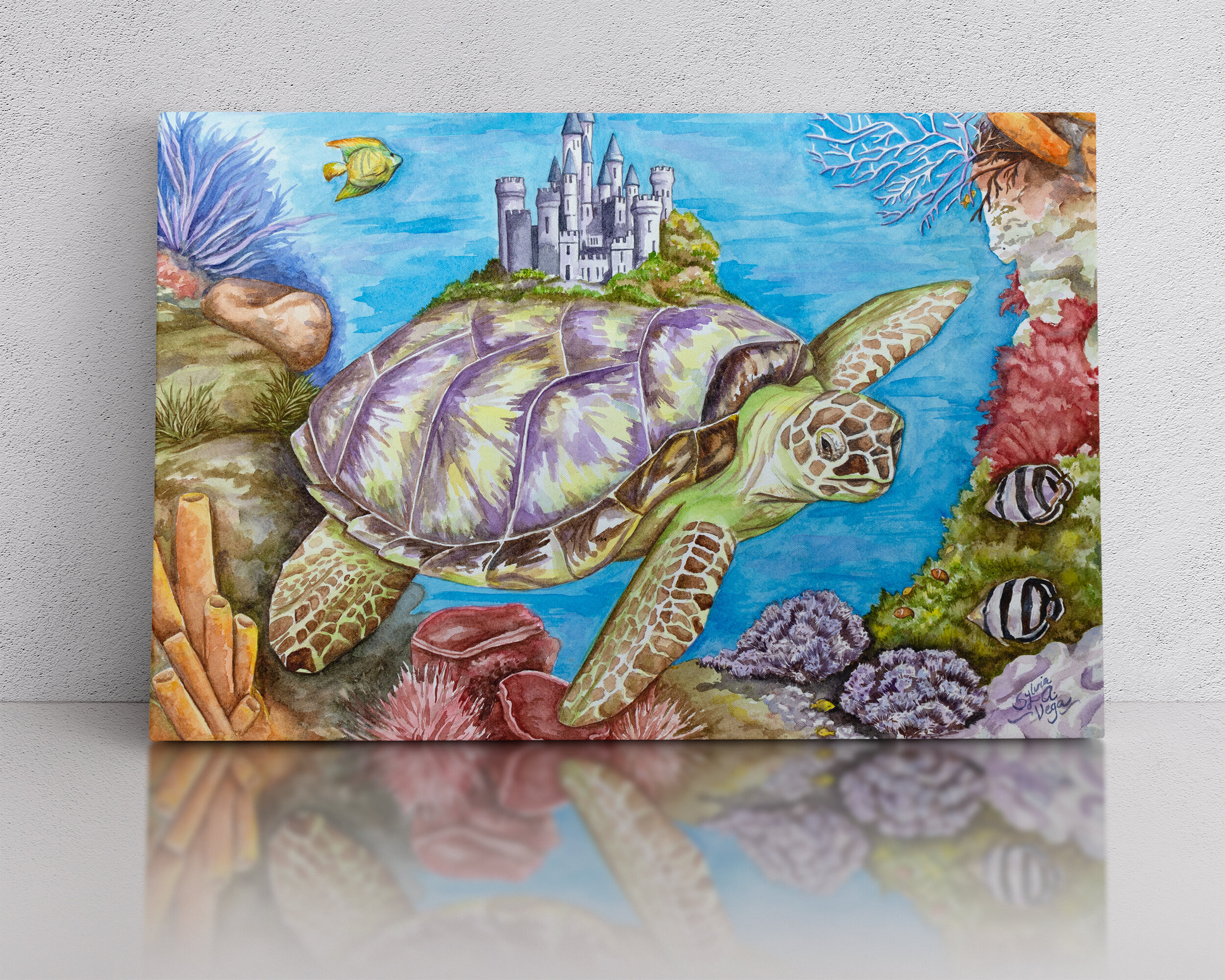 “Magic Turtle”