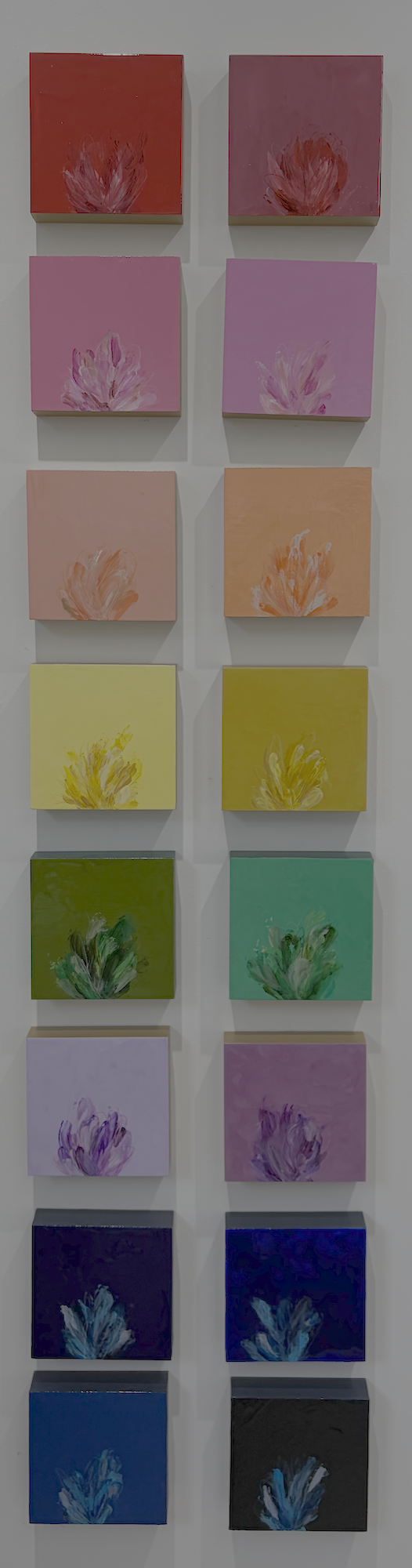 abstract-botanical-rainbow-collection-allyson-caire.png